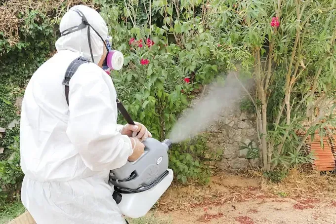 hygiene partner photos