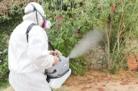 Hygiène Partner - Marseille