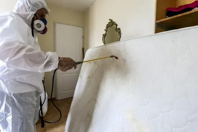 hygiene partner photos société (7)