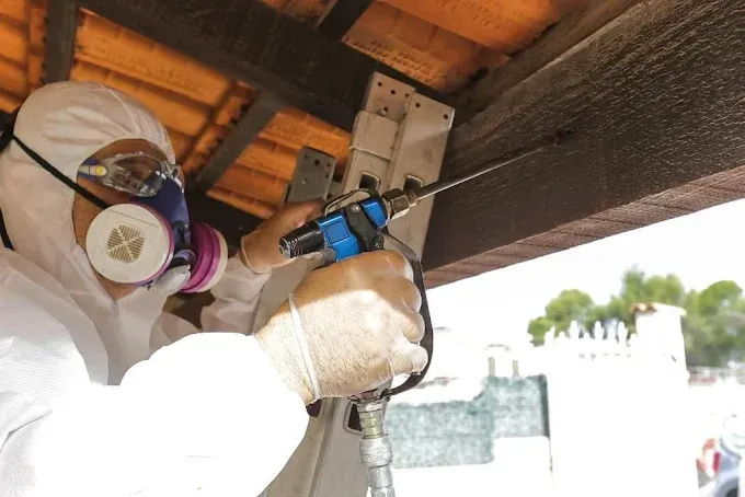 hygiene partner photos société (5)